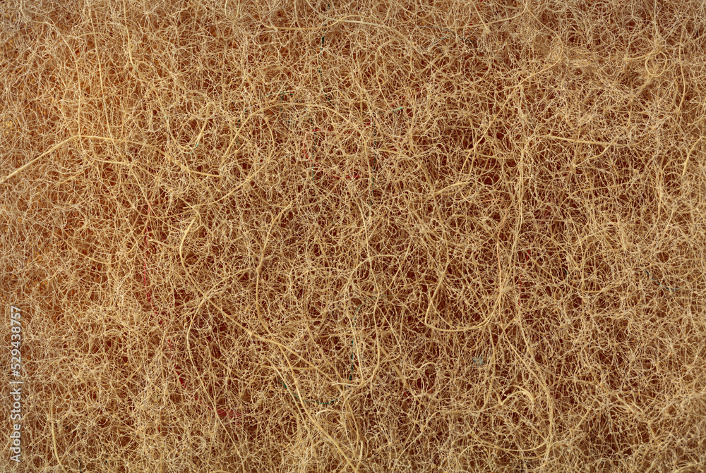 Sponge with natural agave fiber. Sponge with natural agave fiber.