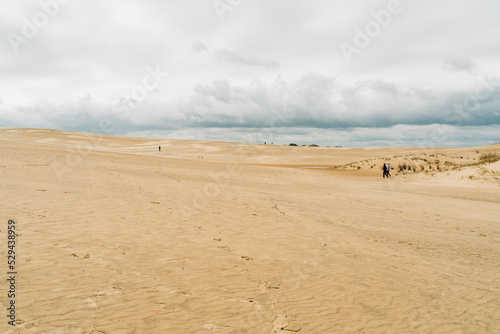 sand dunes on the beach