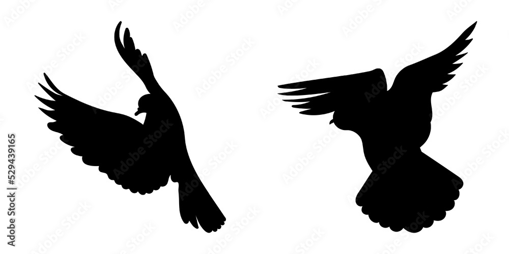 Obraz premium Doves pigeons in flight, different pack of bird silhouettes, isolated vector