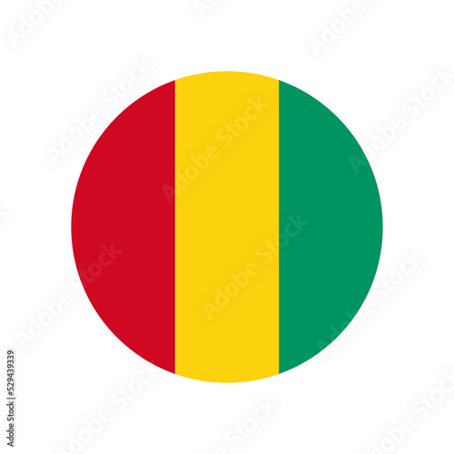 Guinea vector flag circle on white background