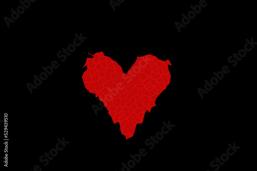 Red heart shape vessels. Black background.