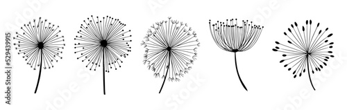 Vector illustrations - a set of graphic flowers  plants. 11 hand-drawn sketch-style design elements. Perfect for creating prints  patterns  tattoos  etc.