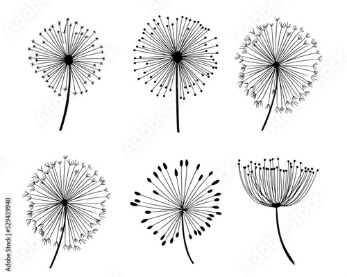 Vector illustrations - a set of graphic flowers, plants. 11 hand-drawn sketch-style design elements. Perfect for creating prints, patterns, tattoos, etc.