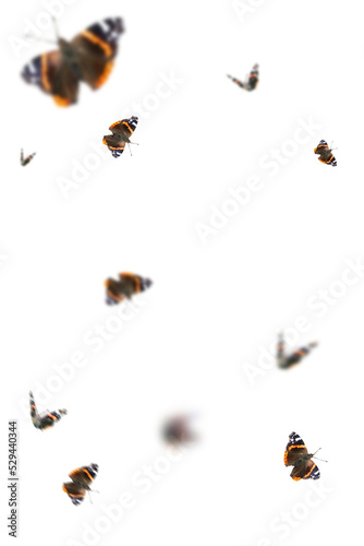 Schmetterlinge overlay für Foto composings als zweite ebene für Frühlingsbilder 