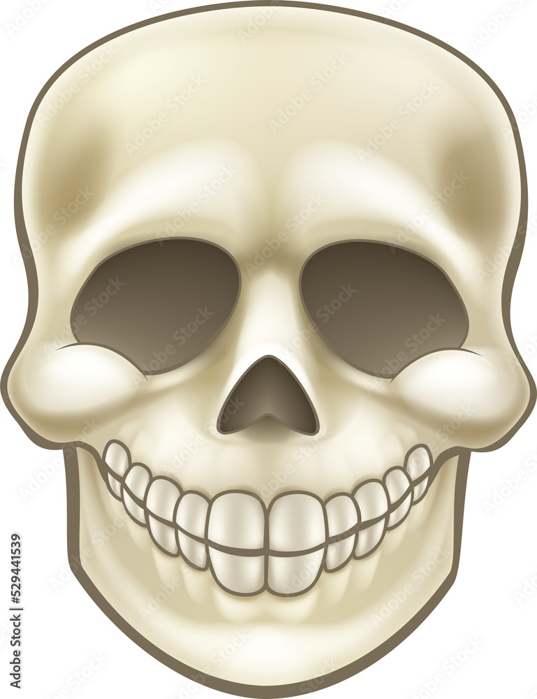 Cartoon Skull Illustration