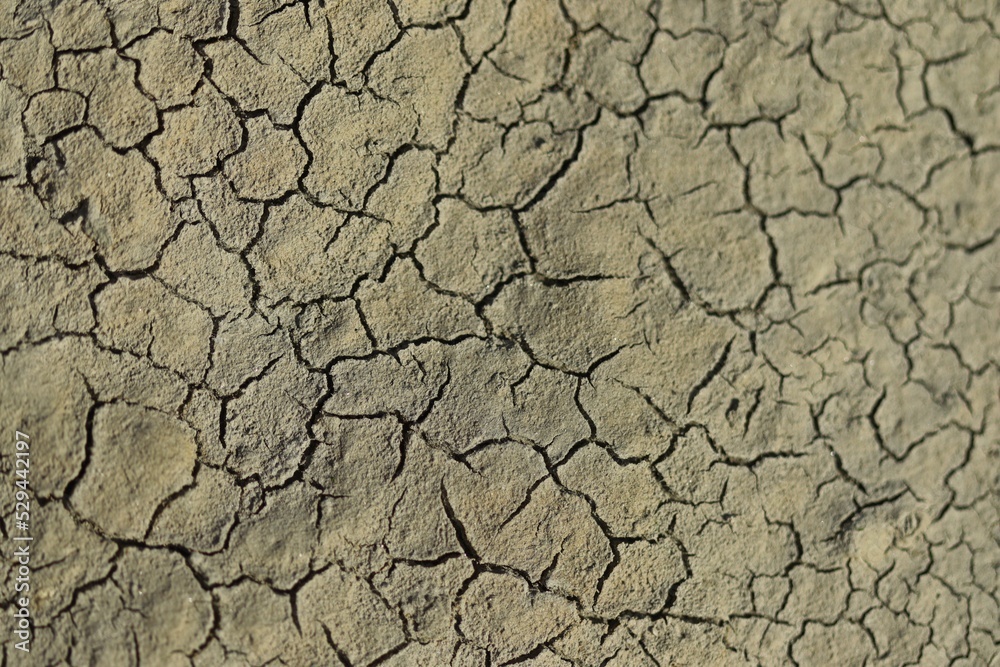 Trockengefallenes Watt an der ostfriesischen Küste Trockengefallenes Watt an der ostfriesischen Küste