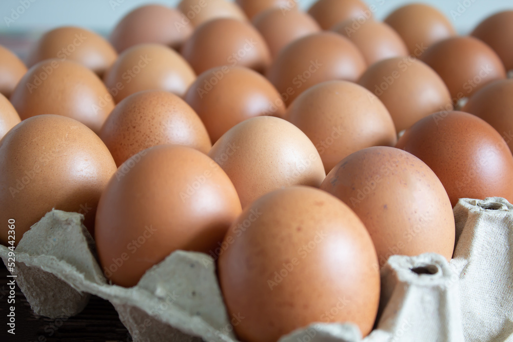 Dozen of eggs are on paper tray packaging put on table Dozen of eggs are on paper tray packaging put on table
