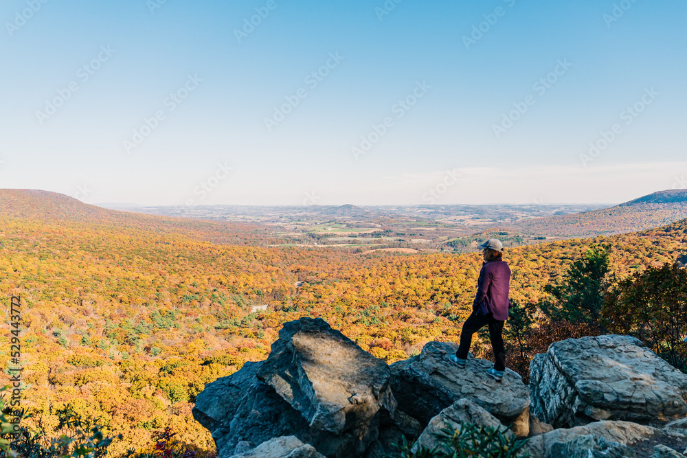 Fototapeta premium portrait of a woman in fall