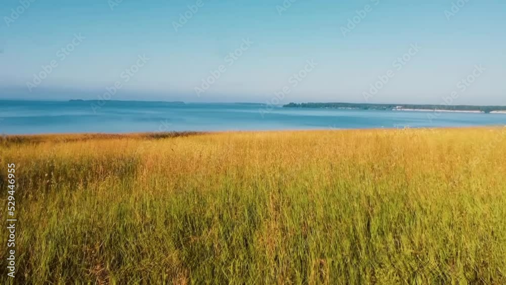 beach and grass in the morning beach and grass in the morning
