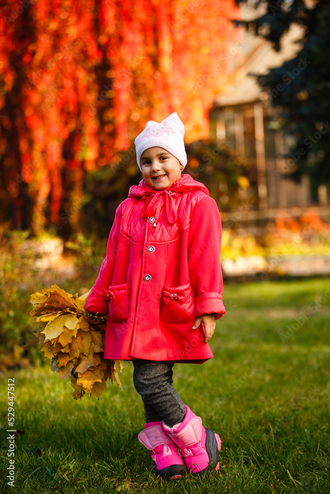 adorable little girl with autumn leaves in the beauty park. adorable little girl with autumn leaves in the beauty park.