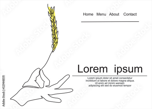 Hand holding ear of wheat. Vector.continuous line 