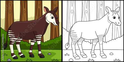 Okapi Animal Coloring Page Colored Illustration