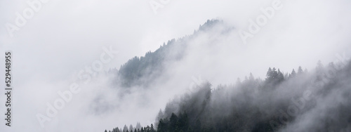 Amazing mystical rising fog forest trees landscape in black forest ( Schwarzwald ) Germany panorama banner - Dark mood..