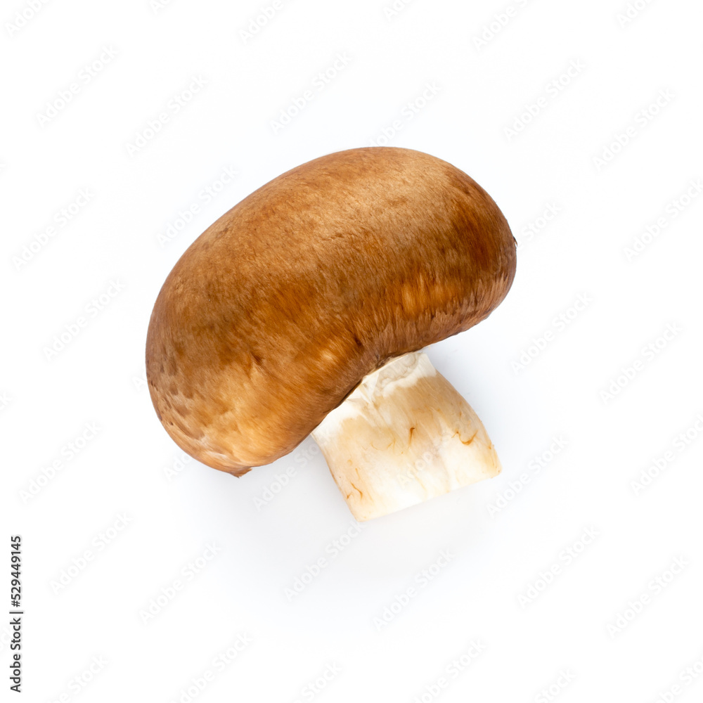 Fresh champignon mushrooms isolated on white. Fresh champignon mushrooms isolated on white.