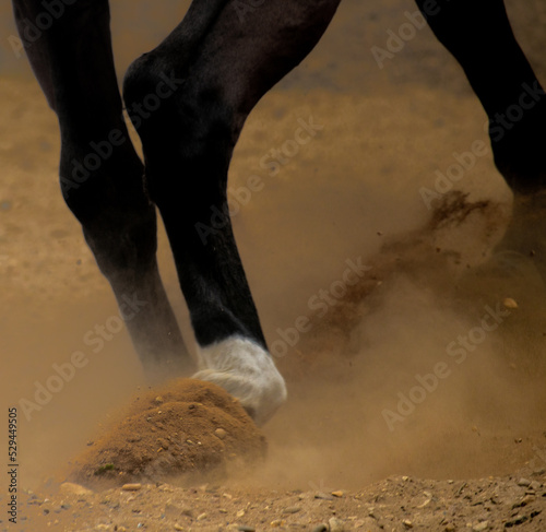 A Horses hoof kicks up sand
