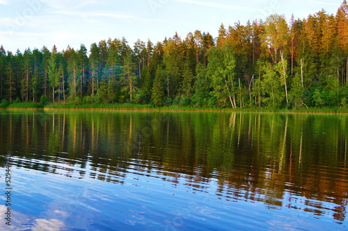 -Wild nature, picturesque water landscape. Coniferous forest and sunset sky are reflected in the water, ripples and waves on the water. Calm quiet evening, harmony. Cloudy blue sky. Backgroun