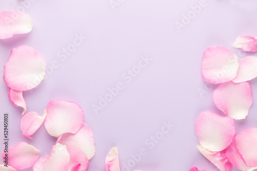 Rose flowers petals on pastel background. Valentines day background. Flat lay  top view  copy space.