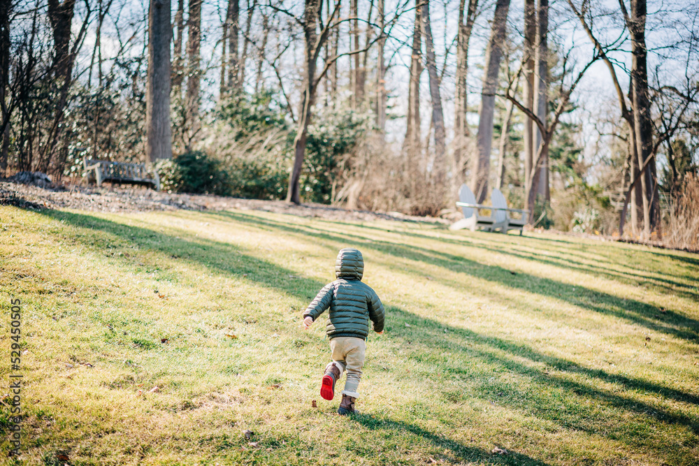 child walking in autumn park child walking in autumn park
