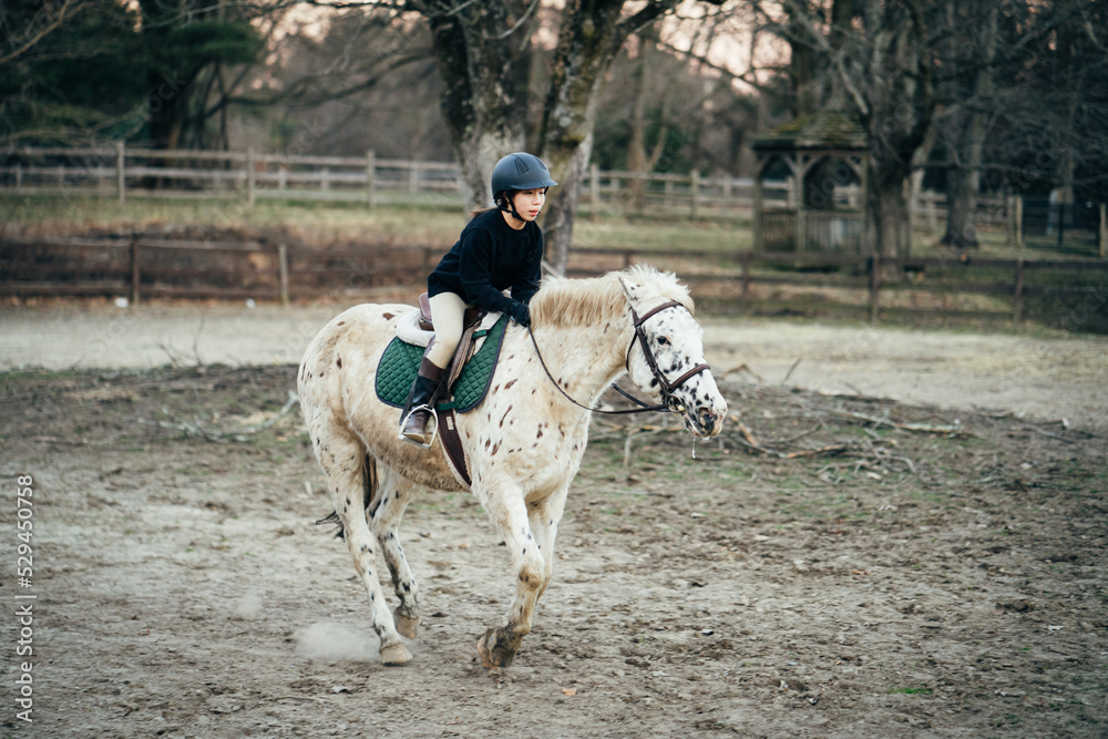 portrait of a girl riding a horse portrait of a girl riding a horse