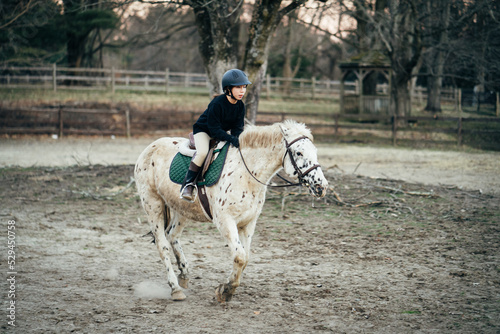 portrait of a girl riding a horse © vin