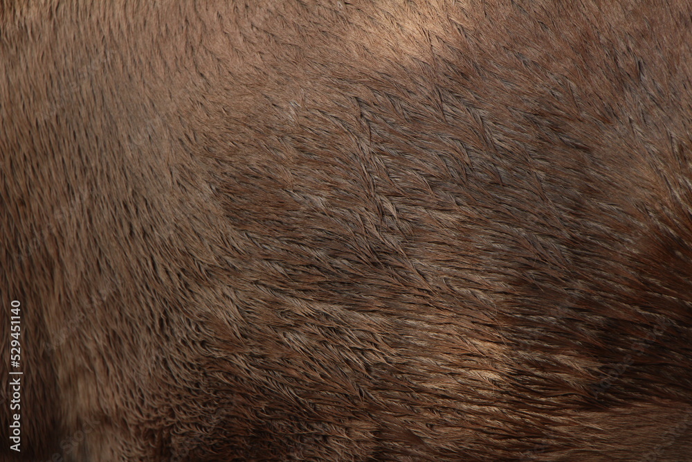 brown leather texture brown leather texture