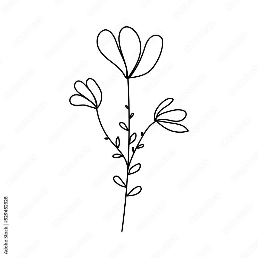 Silhouette image of chamomile. Vector illustration of a flower. Flowers and plants. Silhouette image of chamomile. Vector illustration of a flower. Flowers and plants.