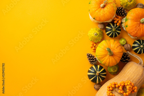 Autumn harvest concept. Top view photo of raw vegetables pumpkins gourd pattypans walnuts rowan and pine cones on isolated orange background with empty space photo