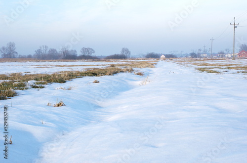 Fototapeta Naklejka Na Ścianę i Meble -  Winter view of field - meadow. Grass covered by snow. Frozen drainage ditch.
