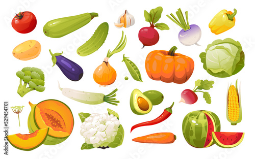 Vegetables set. Natural organic nutrition. Healthy food. Vector illustration isolated on a white background