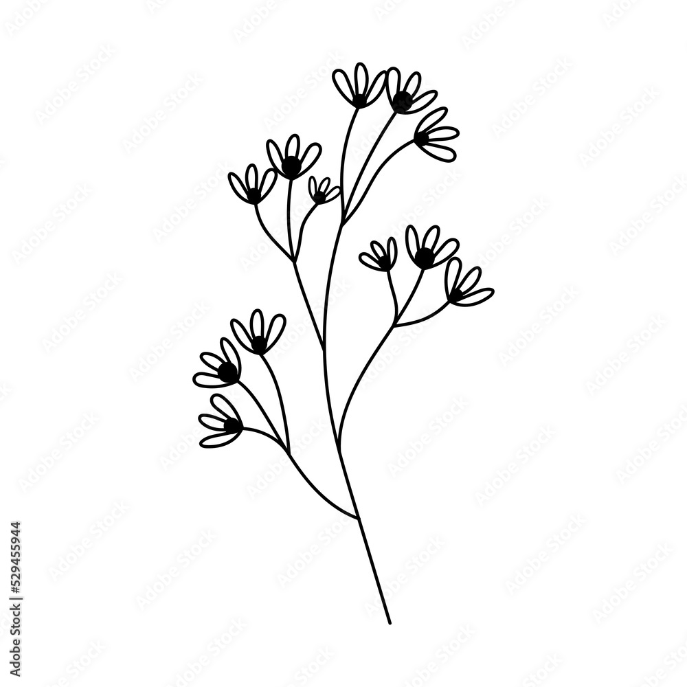 Illustration of a flower, silhouette of a twig with flowers and leaves. Vector illustration. Floral print.