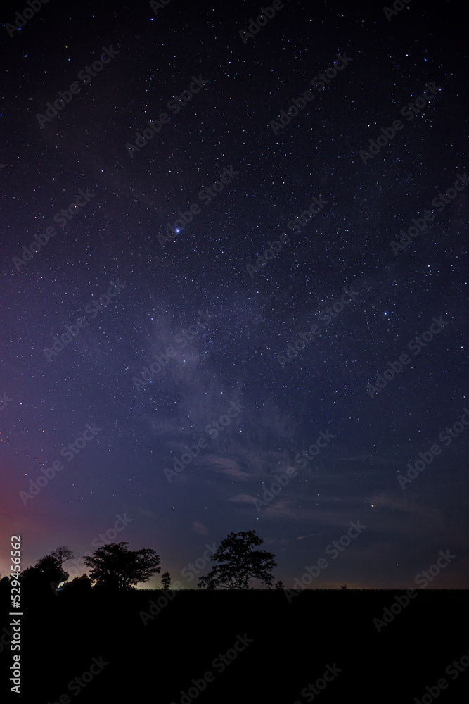 Night starry sky. Milky Way, stars, nebula. Space vertical background. select focus.