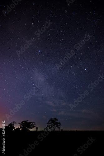 Night starry sky. Milky Way, stars, nebula. Space vertical background. select focus. © Mohwet