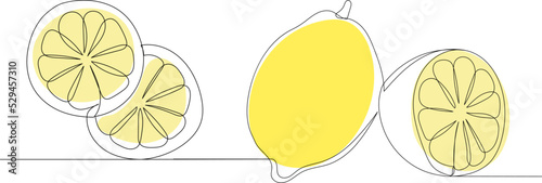 lemons one continuous line drawing
