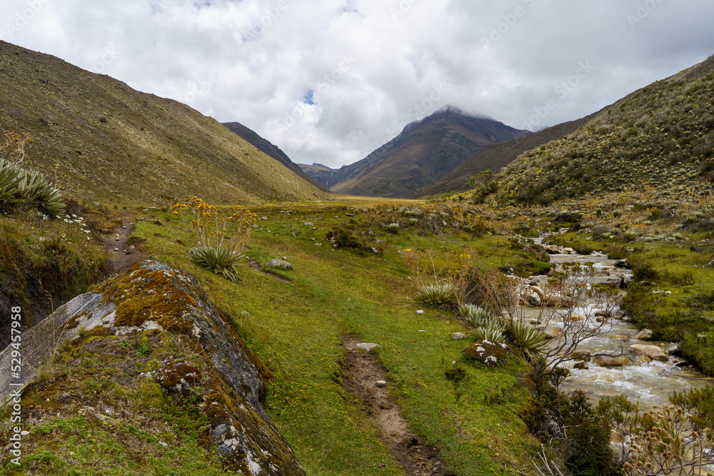 Fototapeta premium Dead valley of the national park sierra de la Culata at an altitude of 2,500 meters above sea level with a drinkable stream in Venezuela