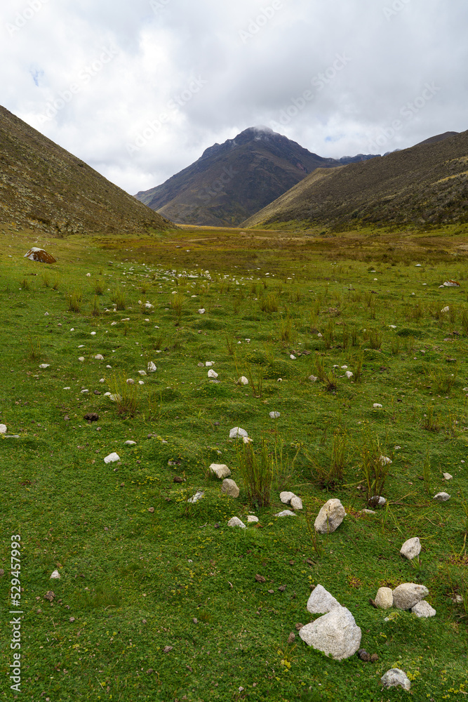 Fototapeta premium Dead valley of the national park sierra de la Culata at an altitude of 2,500 meters above sea level in Venezuela.