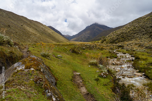 Dead valley of the national park sierra de la Culata at an altitude of 2,500 meters above sea level with a drinkable stream in Venezuela