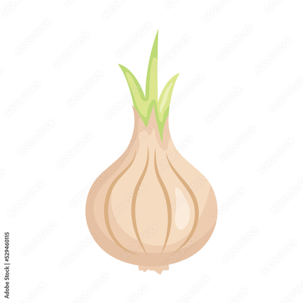 garlic head icon