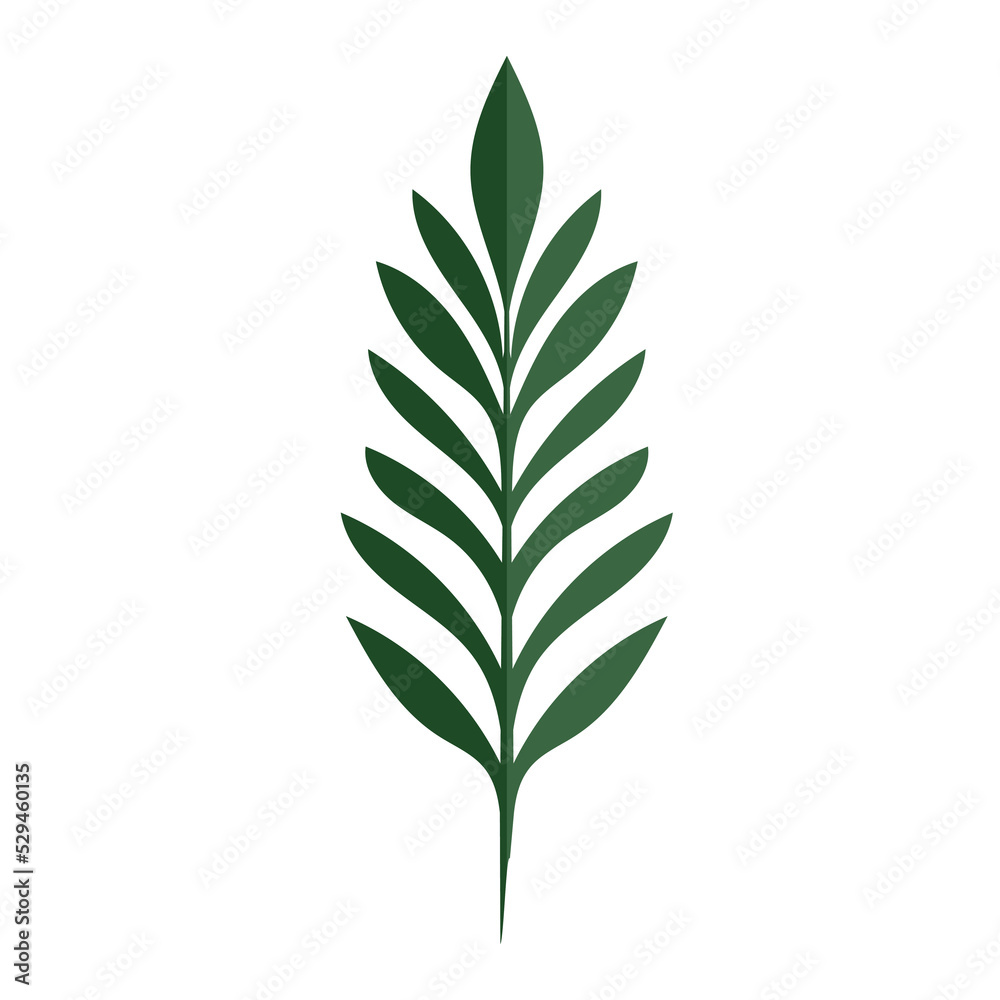 Tropical leaves. Monstera plant leaf, banana plants, and green tropical palm leaves. Jungle palms forest flora nature, Flat Modern design ,isolated background  illustration