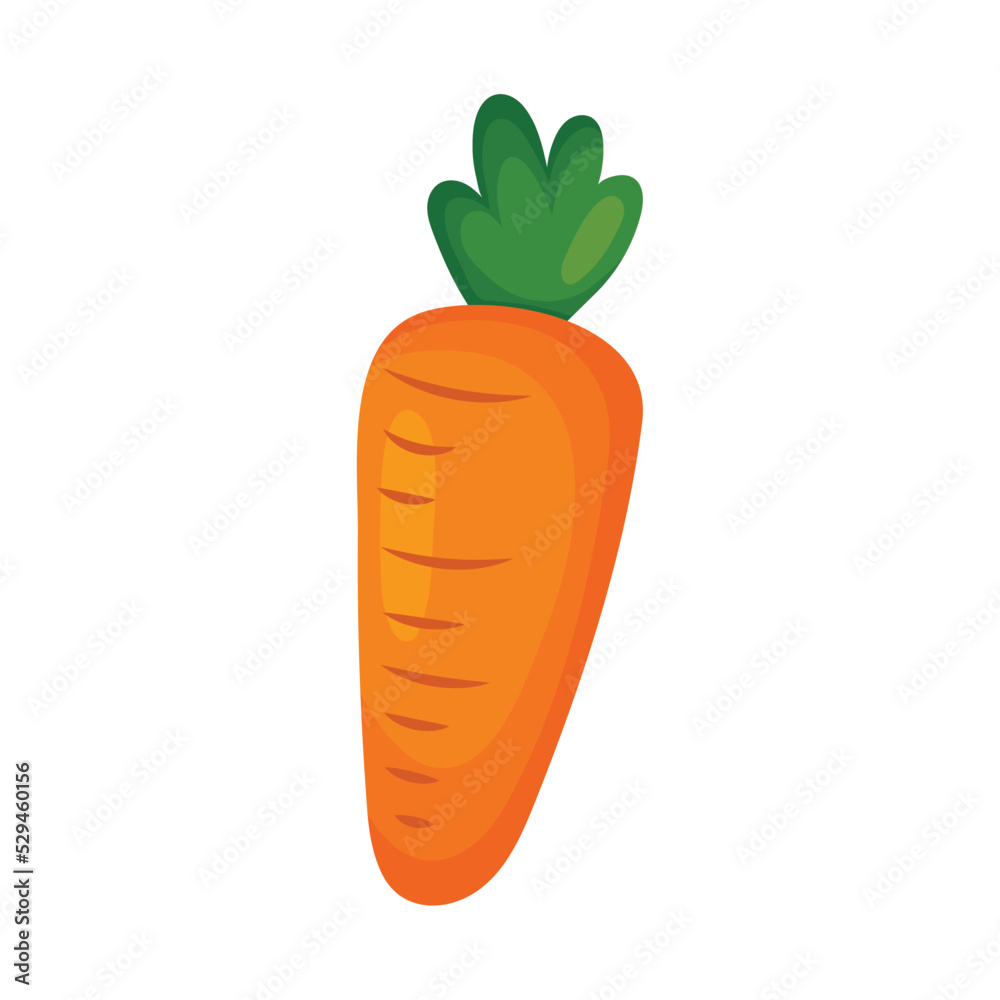 carrot vegetable icon carrot vegetable icon