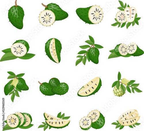 Soursop icons set cartoon vector. Muricata fruit. Fruit plant