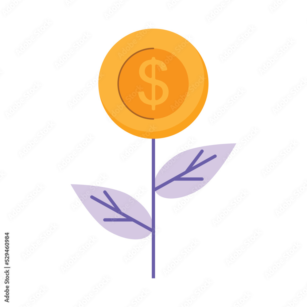 money plant with coin money plant with coin