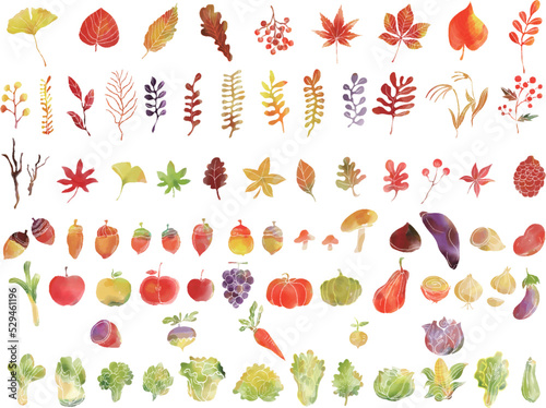 手描き水彩画 秋の紅葉 食べ物 イラストアイコン セット