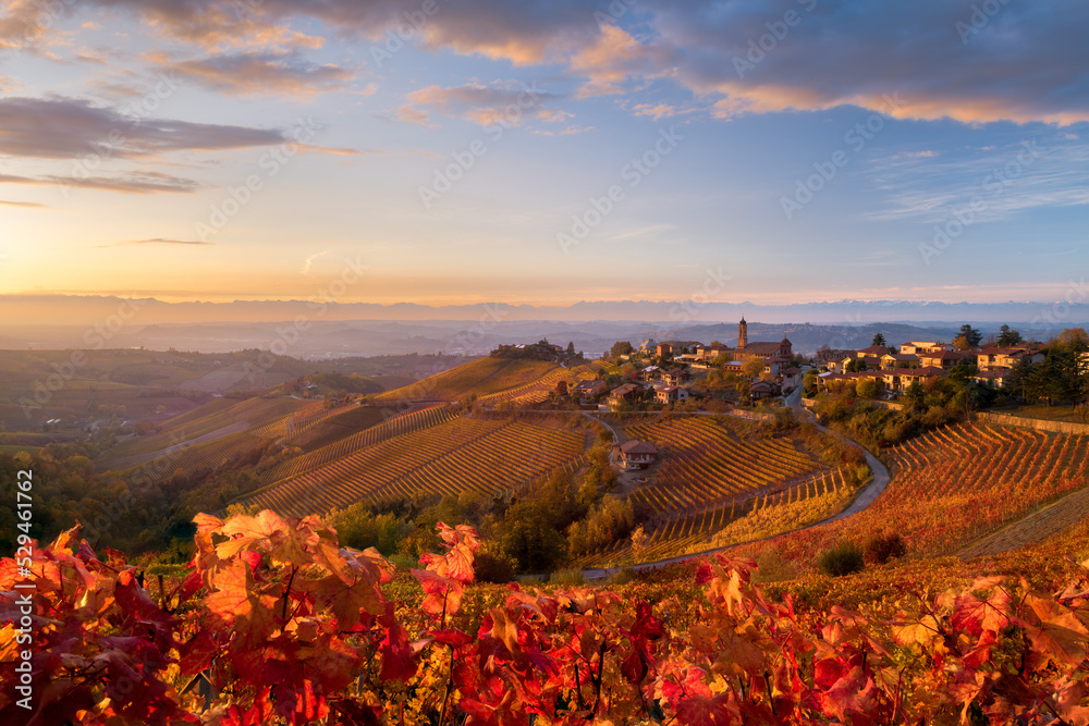 view of Treiso in Autumn, Langhe, Piedmont, Italy