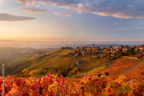 view of Treiso in Autumn, Langhe, Piedmont, Italy #529461766