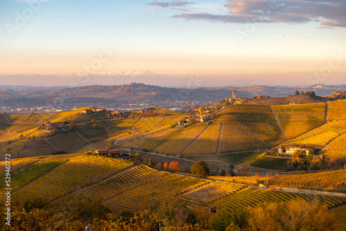 Panorama of Barbaresco vineyards in autumn, Piedmont, Italy #529461772
