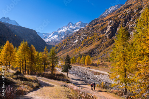 Autumn walk in the Valsavaranche valley, Pont, Valsavaranche, Valle d'Aosta, Italy