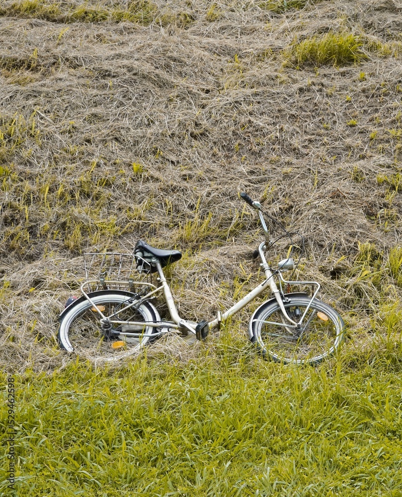 Old-fashioned bicycle lying on ground.