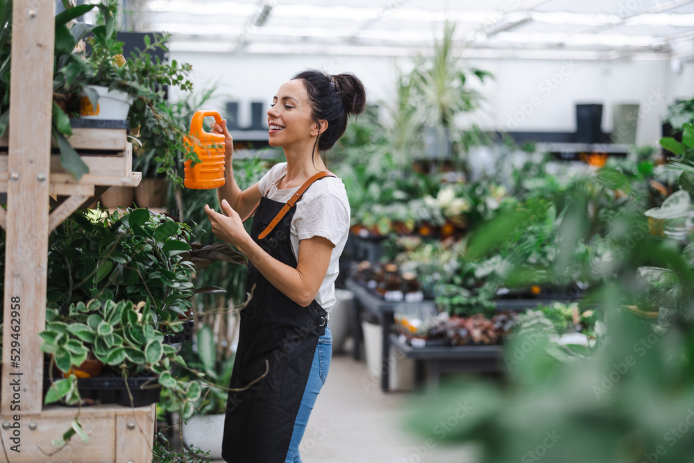 Woman working in greenhouse, watering flowers
