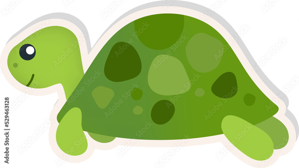 Сute Turtle Cartoon Сute Turtle Cartoon