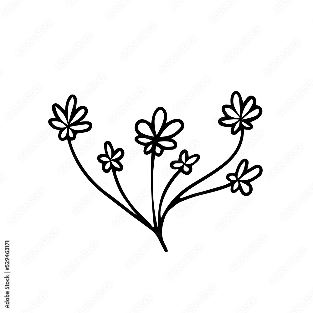 Chamomile or daisy flower doodle. Vector Illustration for printing, backgrounds, covers and packaging. Image can be used for greeting cards, posters, sticker and textile. Isolated on white background.